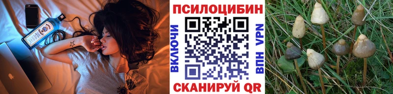 наркошоп  Южно-Сахалинск  Псилоцибиновые грибы Magic Shrooms 